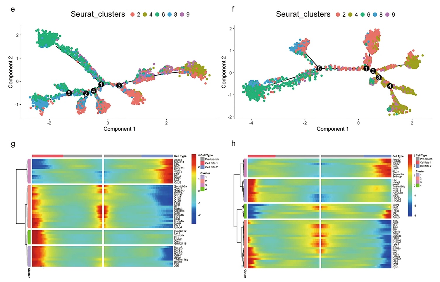 Mouse Skin Wound Healing RNA-seq Analysis